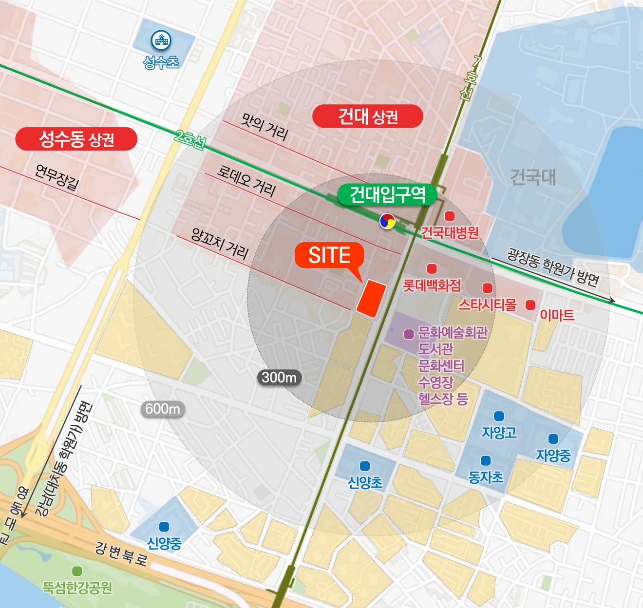 입지 지도 — SITE(현장)와 2·7호선 건대입구역, 반경 300m·600m, 롯데백화점·스타시티몰·이마트·건국대병원·문화예술회관, 성수초·신양초·동자초·자양중·자양고, 건대 상권·성수동 상권